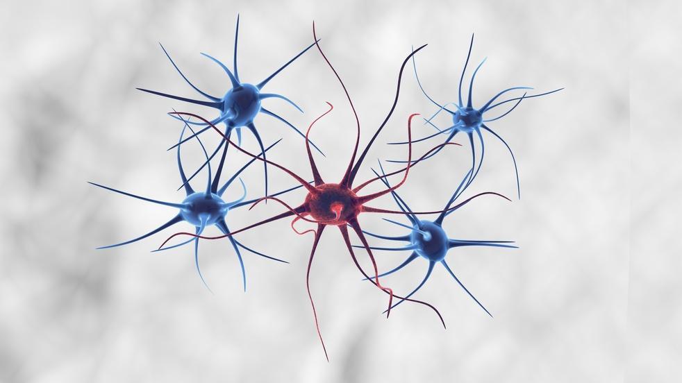 Treat XDR and ABR Bacteria Through PHAGE Therapy