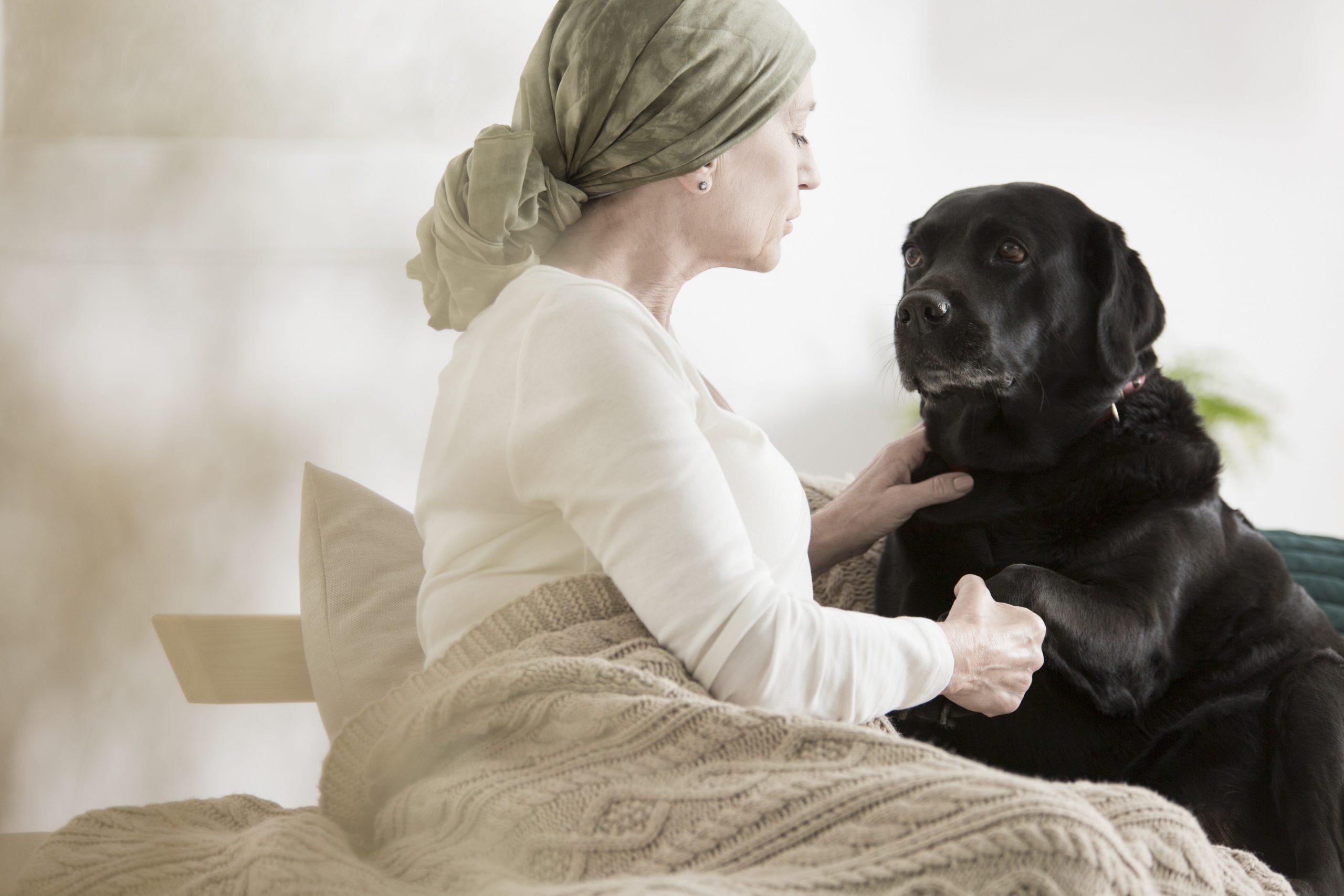 Dogs can detect cancer at an early stage