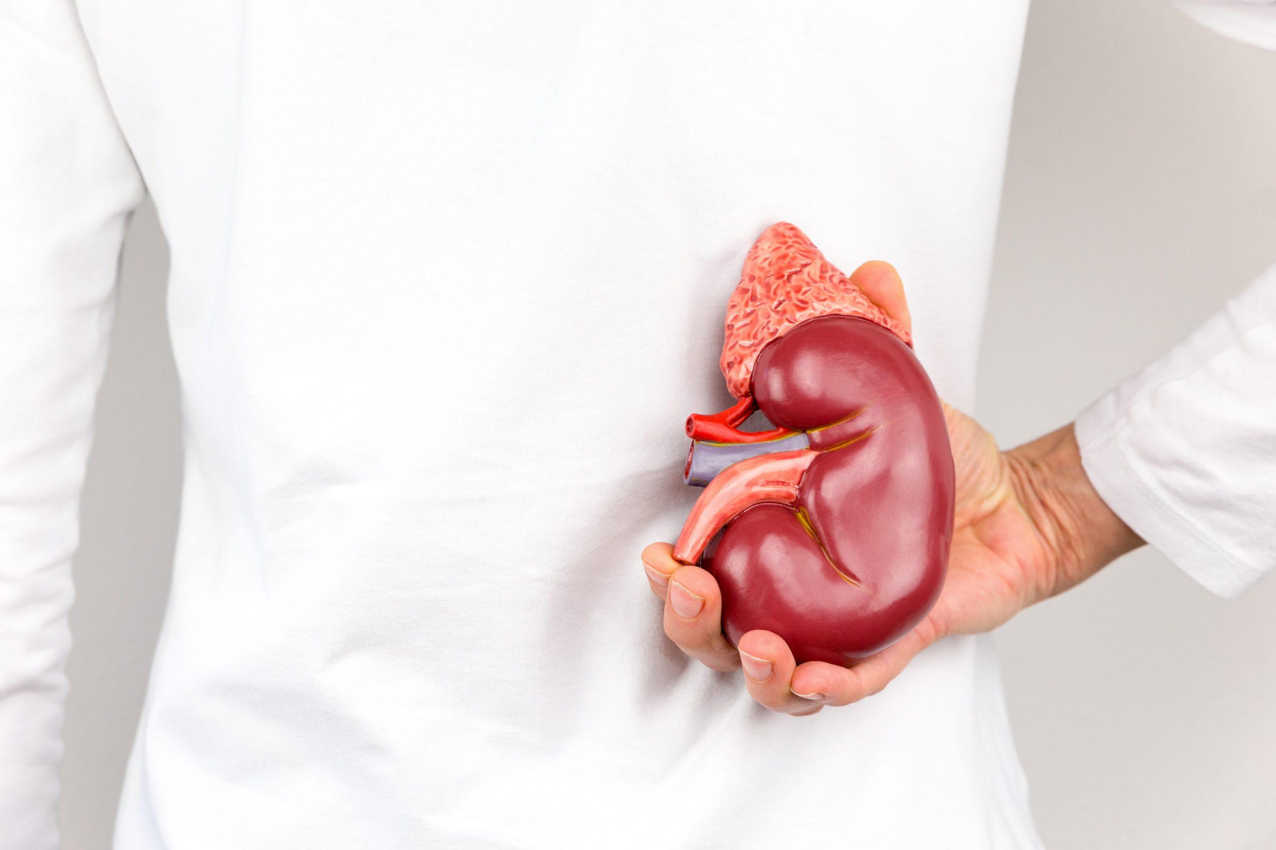 Burden of chronic kidney disease in India
