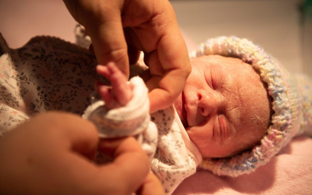 Why do Disasters and Pandemics lead to the baby boom?