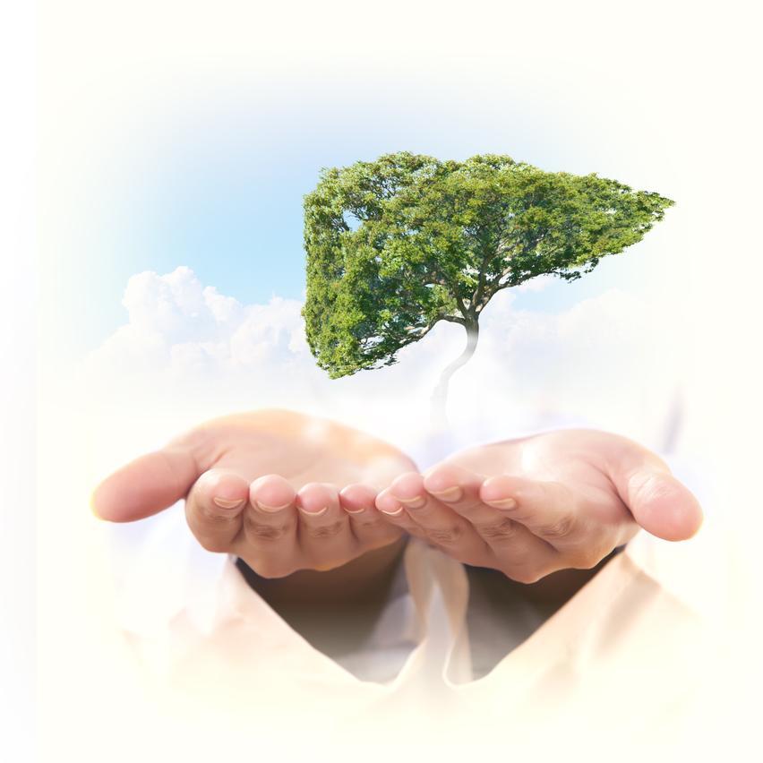 World Liver Day: Lack of awareness raises burden of diseases.