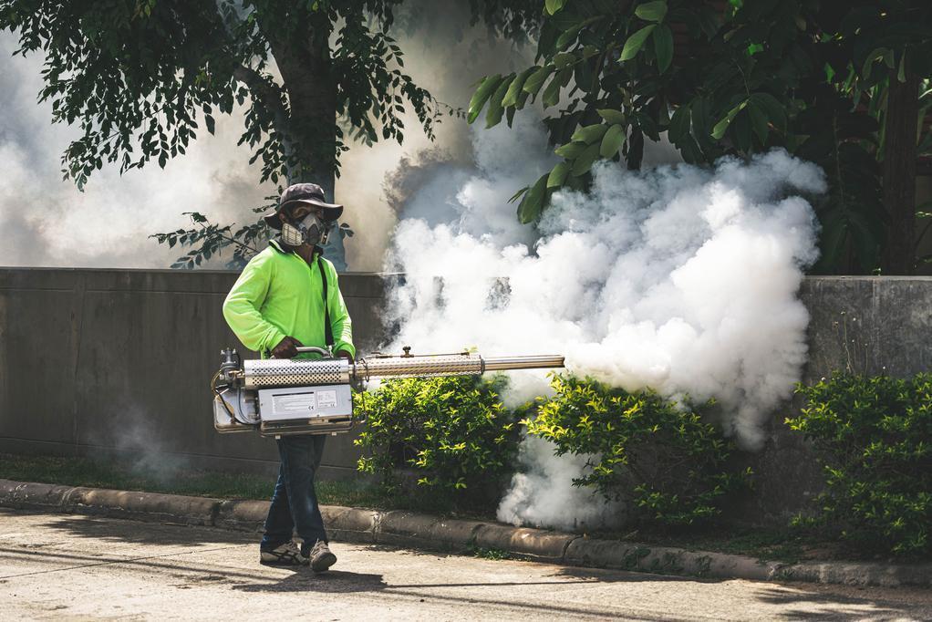 World Mosquito Day : Increase awareness on the importance of mosquito control
