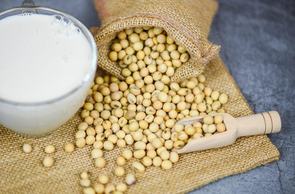 Difference Between Cow Milk and Soy Milk