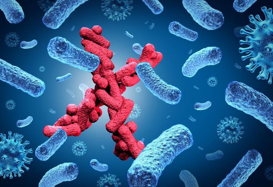 New diseases could remain undetected in world’s most connected cities