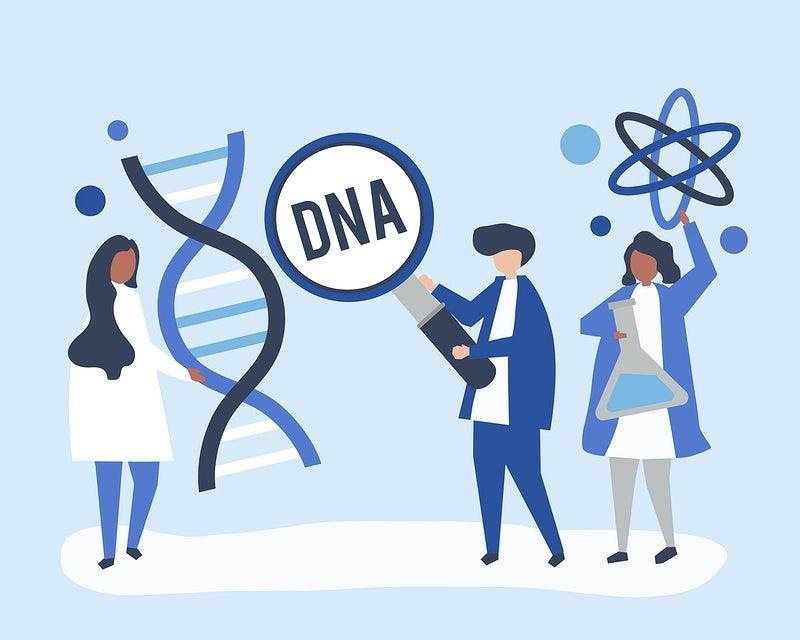 The Evolution Of Biotechnology And Its Impact On Health Care