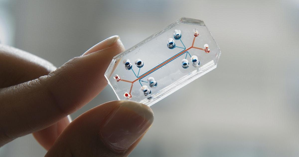 Organ-on-a-Chip Technology Rapidly Repurposes Existing Drugs for Treatment