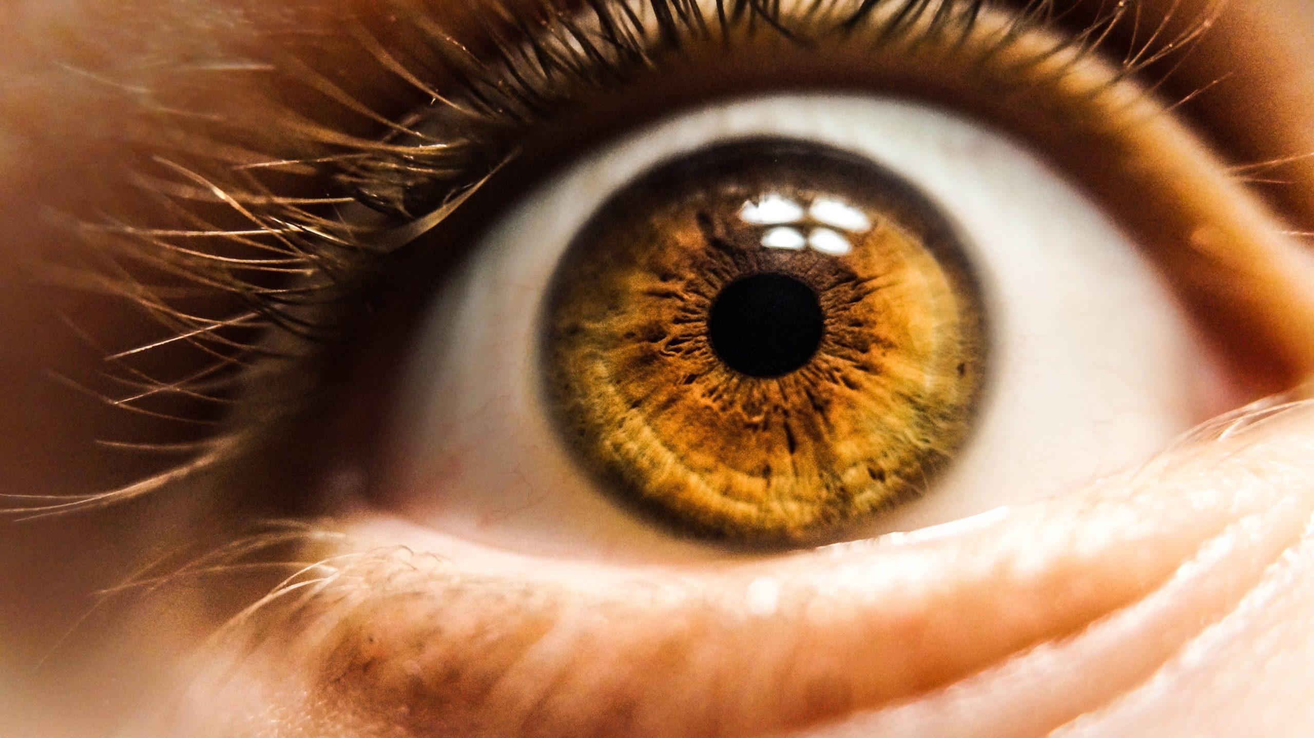 Genetic Testing for Inherited Retinal Disease