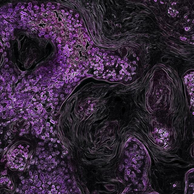 Real-world integration of genomic data into the HER
