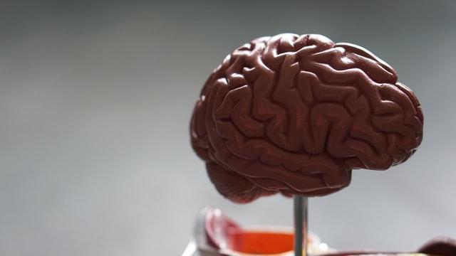 This ‘Quantum Brain’ Would Mimic Our Own to Speed Up AI