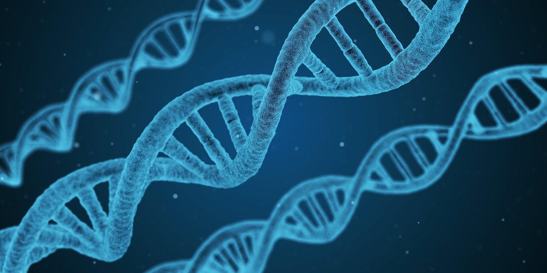 A vast majority of genes have been tied to cancer
