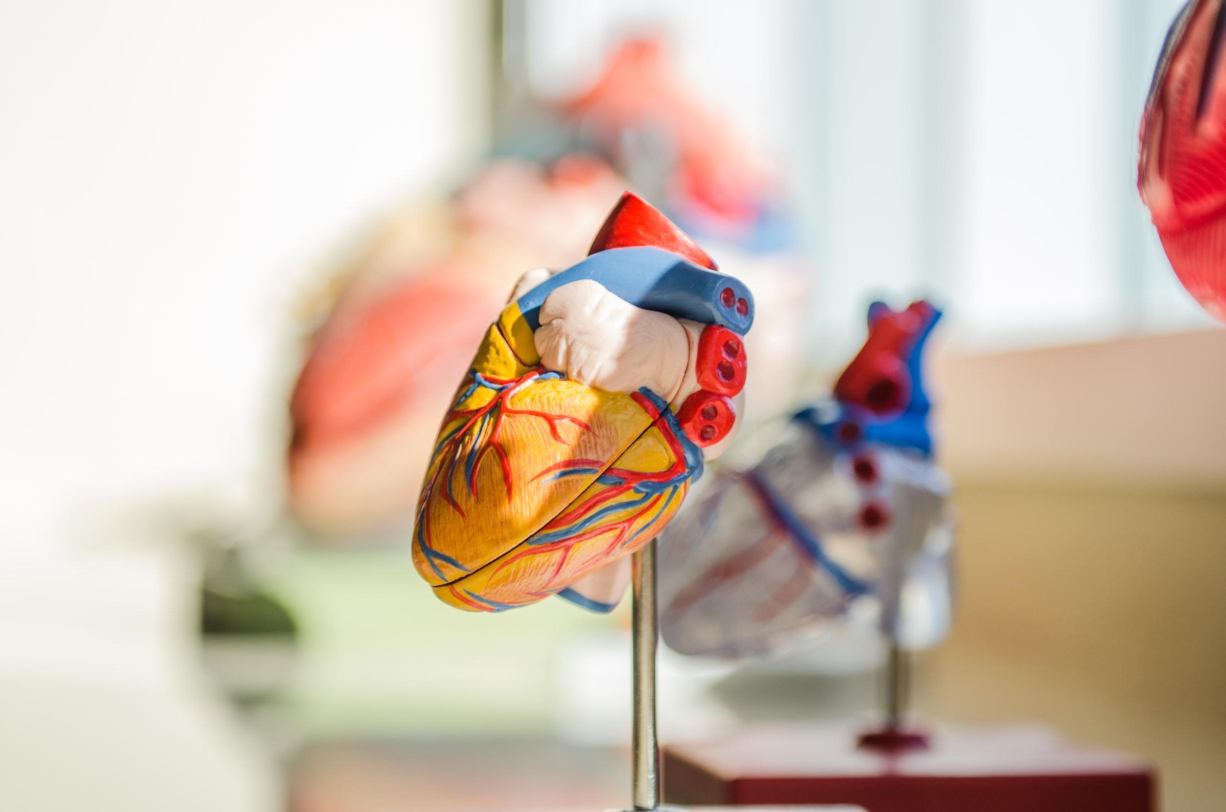 Healthy eating pattern reduces cardiovascular disease risks