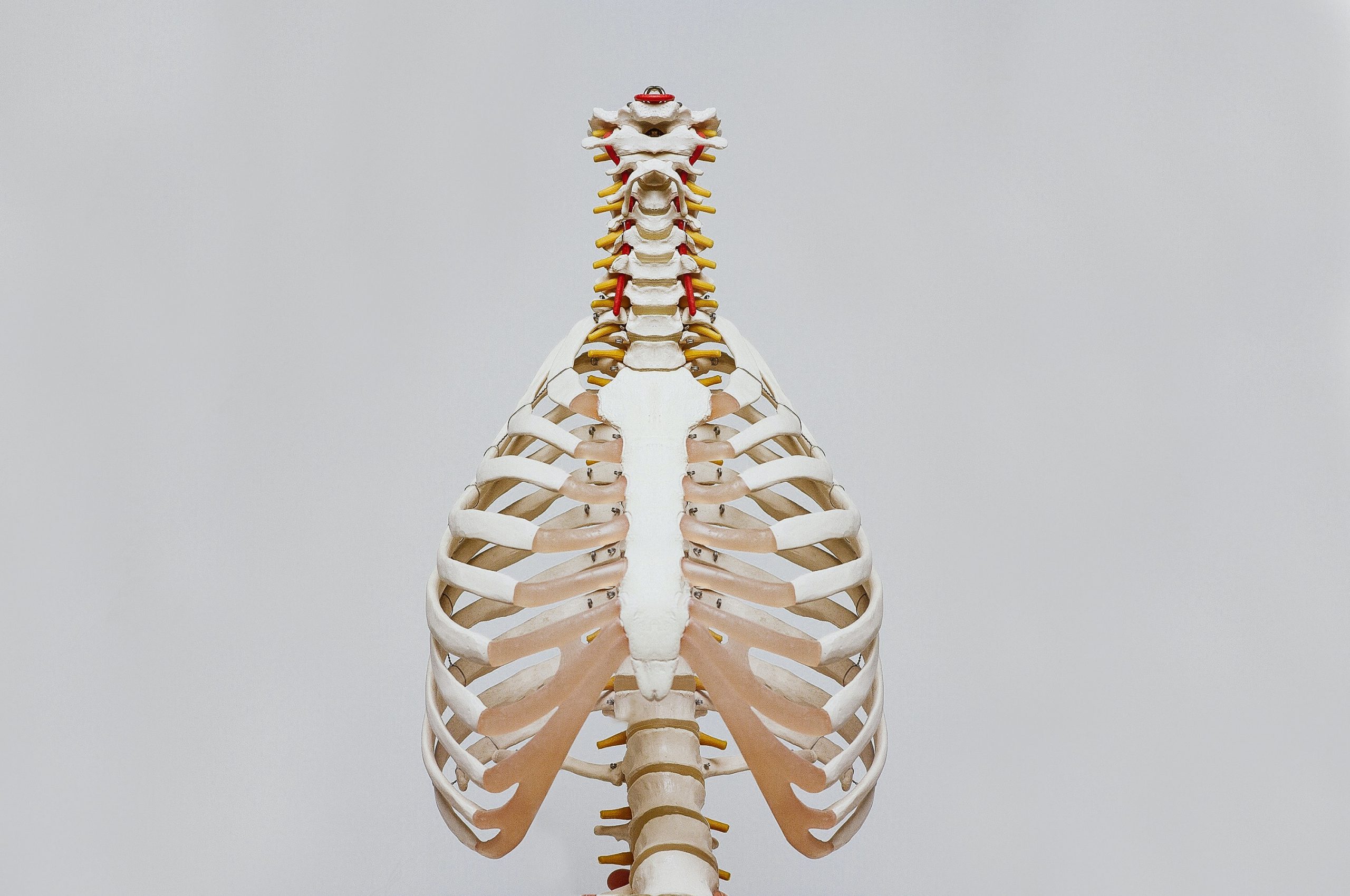 Diagnose Lung Cancer earlier by artificial intelligence